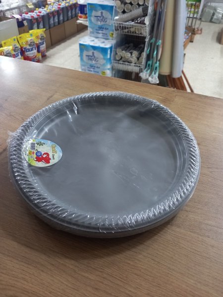 صحن مسطح ١٠ انش